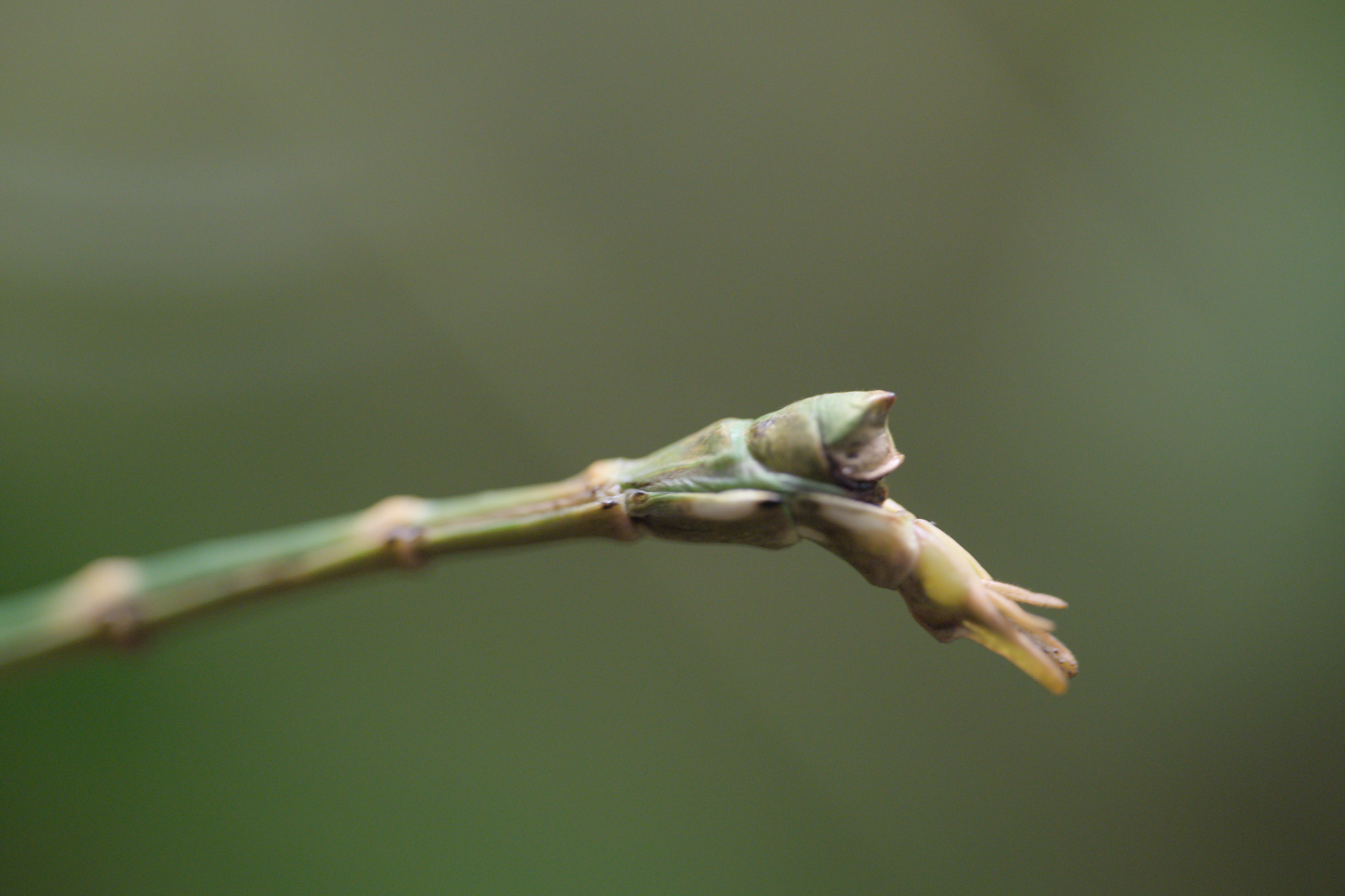 2025/10/12 - zoo/DSC_0211.jpg